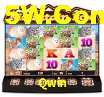 Qwin,Qwin Casino